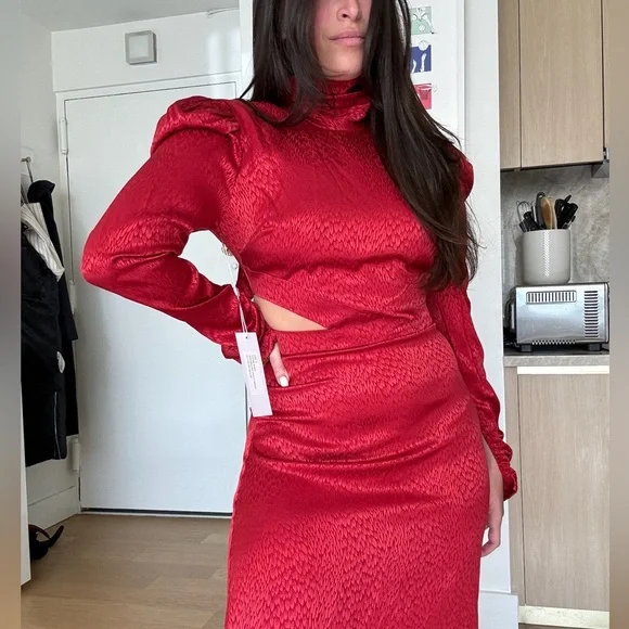 NWT Ronny Kobo exclusive Carla dress in burgundy - Picture 3 of 9